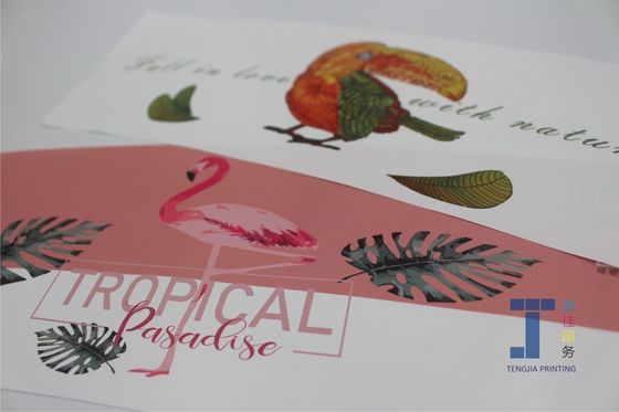 Stampa digitale IML Etichette a stampo per cestini di plastica Cestini di frutta grande dimensione